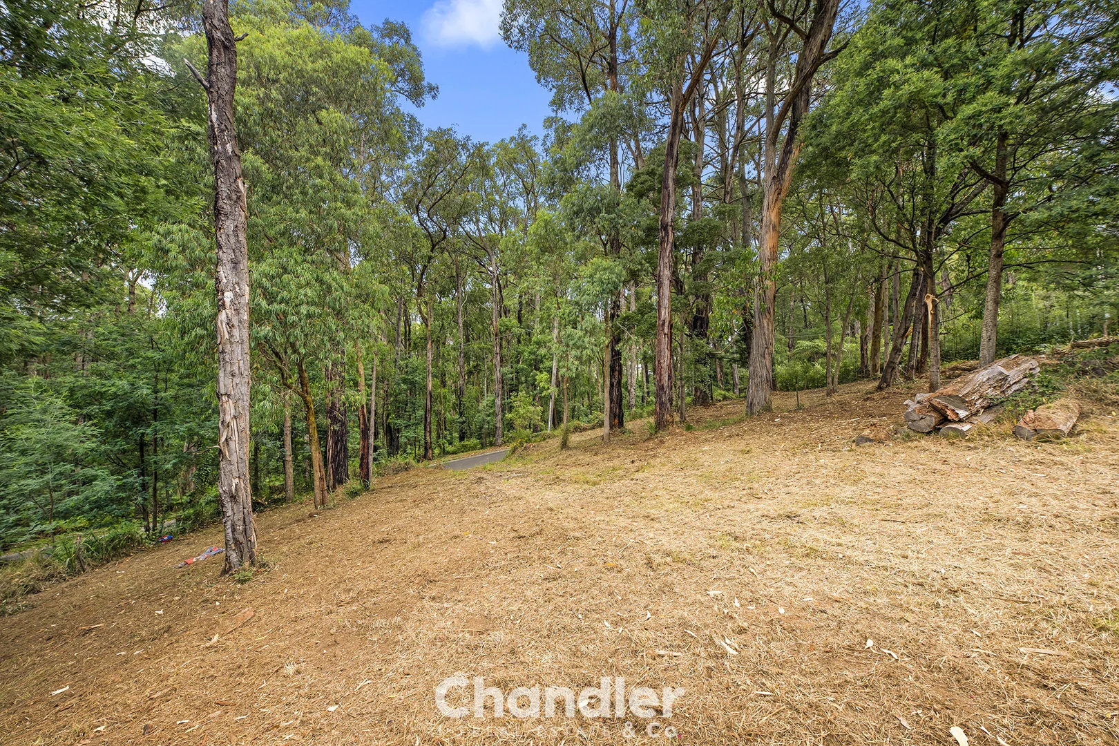 Additional image 10 of 75 Priors Road, The Patch VIC 3792