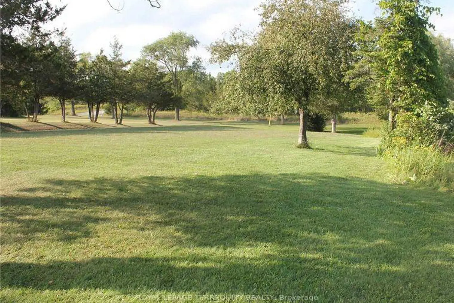 Additional image 18 of 7743 County Rd 50