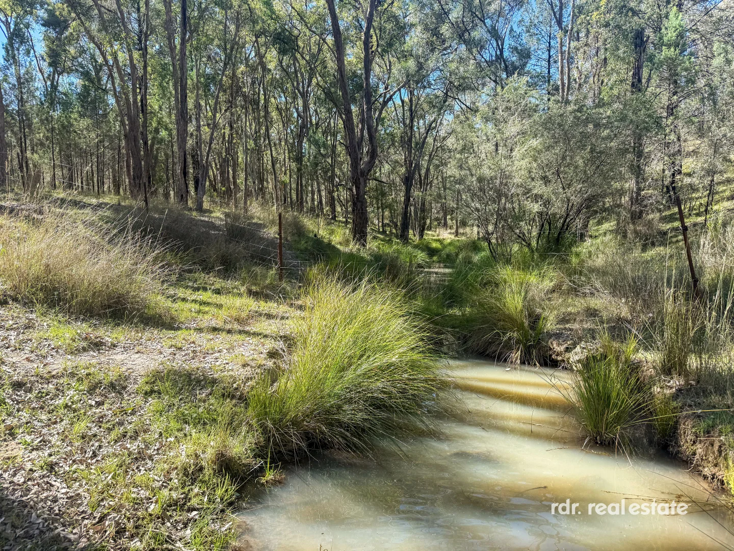 Additional image 3 of Lot 1 Onus Road, Copeton, Inverell NSW 2360