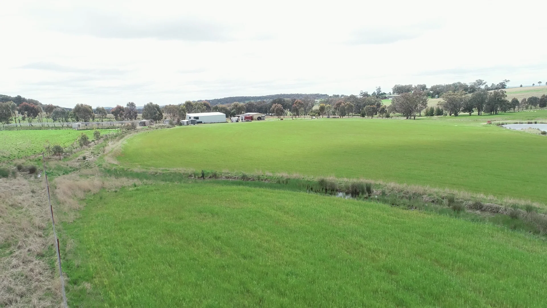 Additional image 2 of 823 Peabody Road, Molong NSW 2866