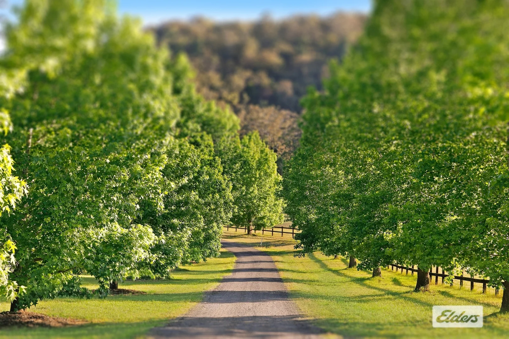 Additional image 24 of 41 Amber Lane, Wyong Creek NSW 2259