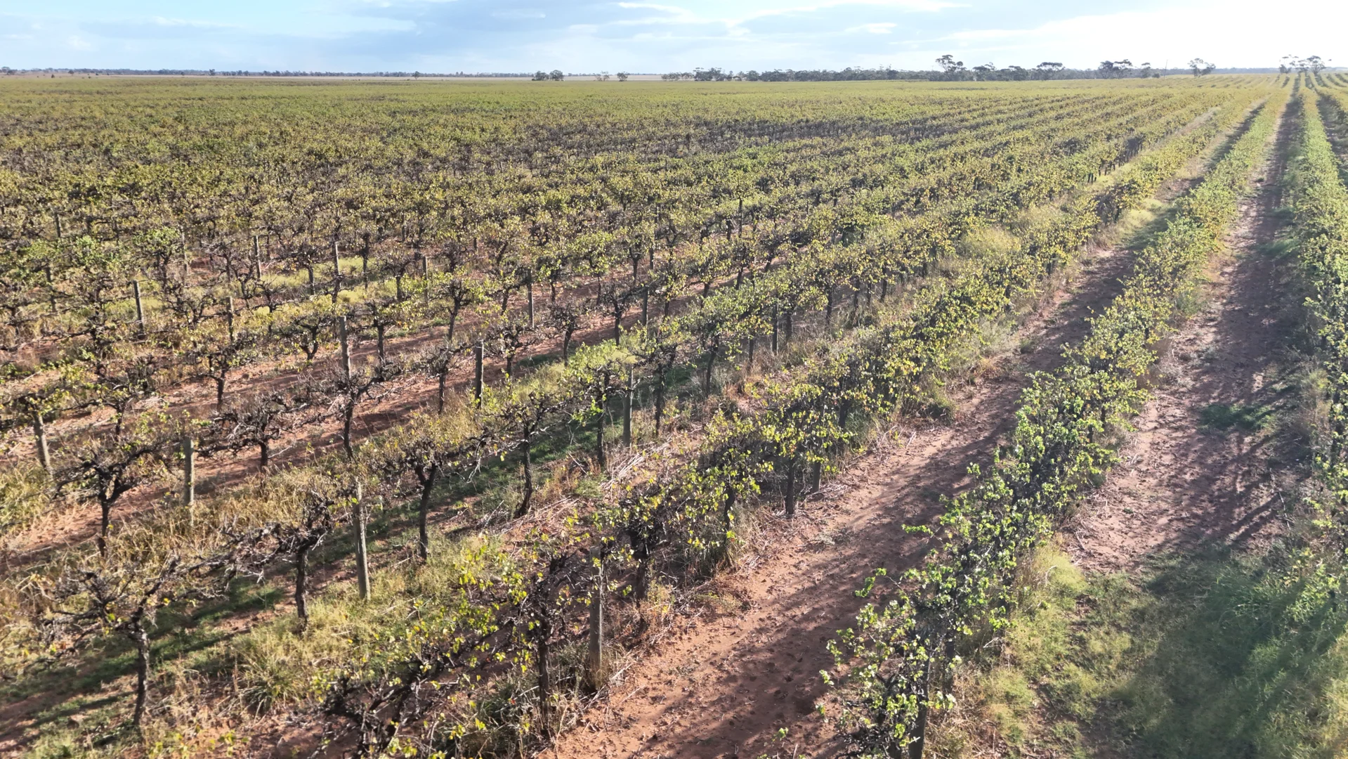 Additional image 30 of 595 Woorinen Road, Swan Hill VIC 3585