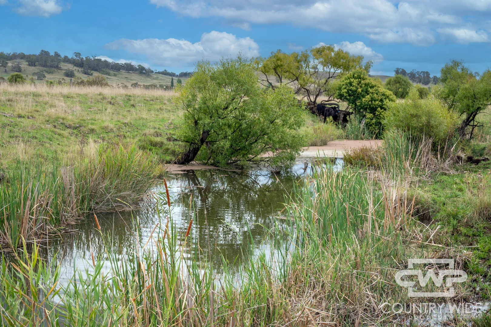 Additional image 18 of 638 Furracabad Road, Glen Innes NSW 2370