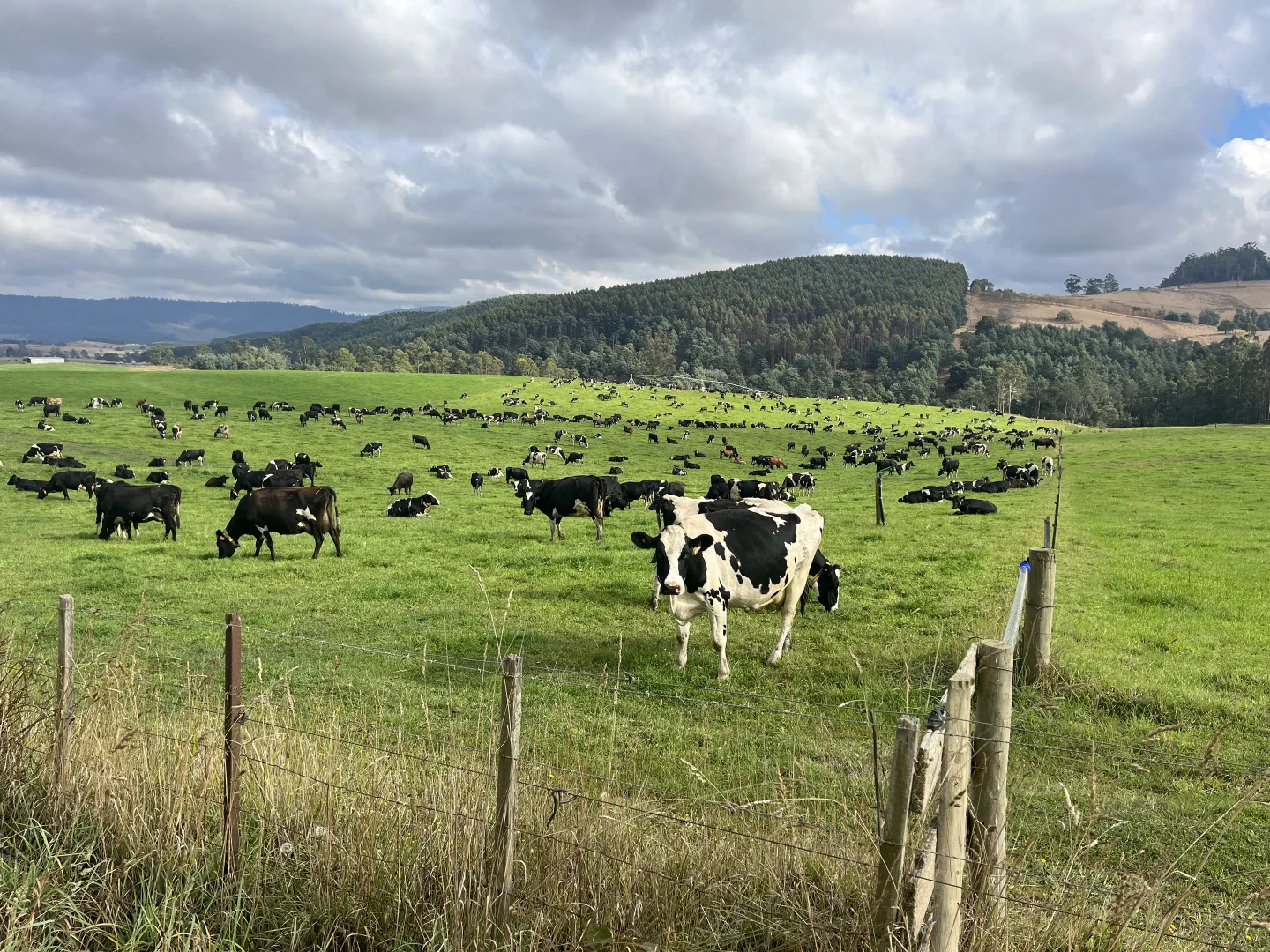 Additional image 6 of 630 Ten Mile Track, Springfield TAS 7260