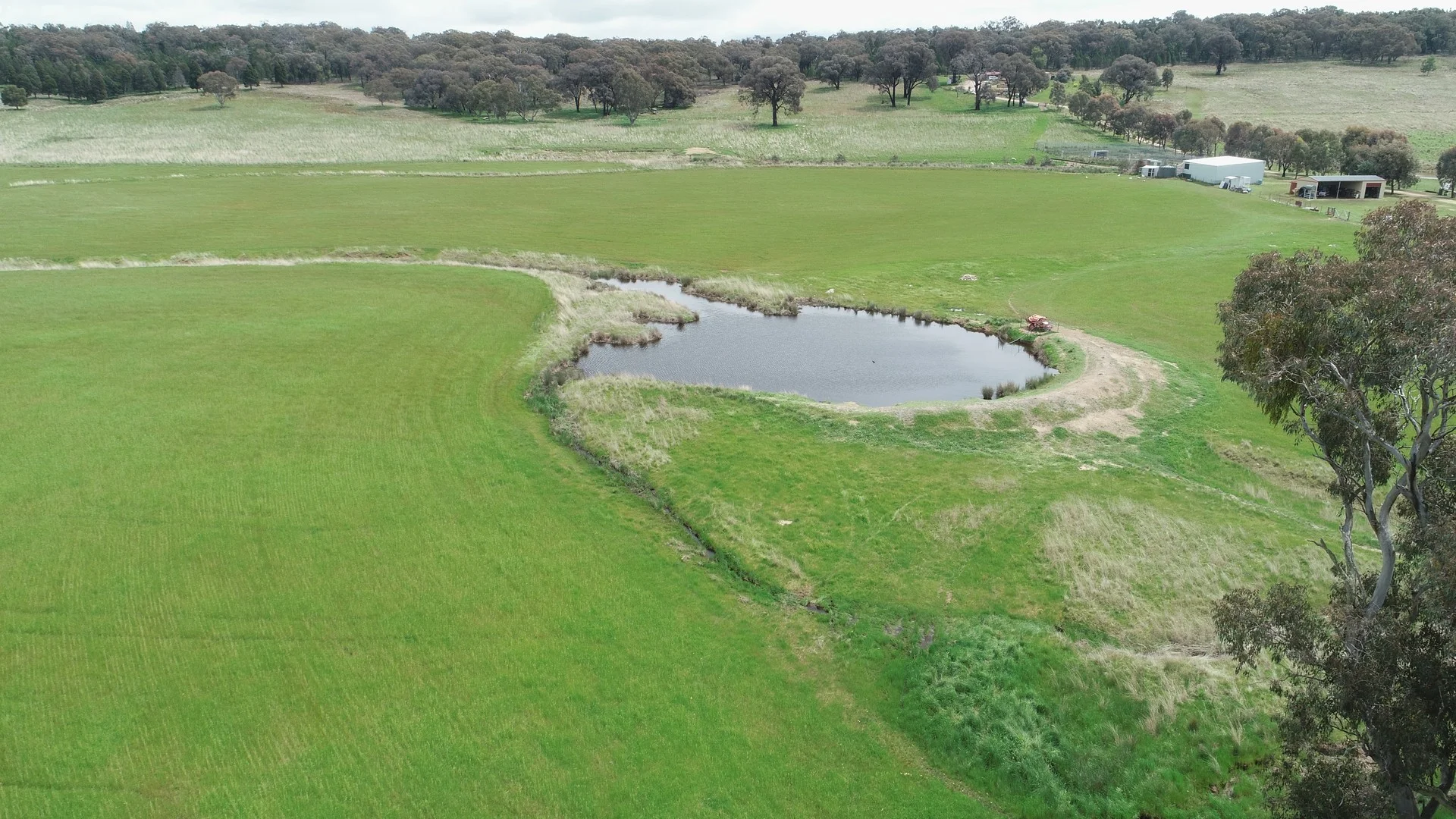 823 Peabody Road, Molong NSW 2866