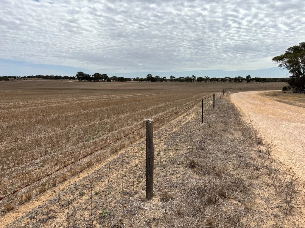 Additional image 24 of 9723 Tod Highway, Lock SA 5633