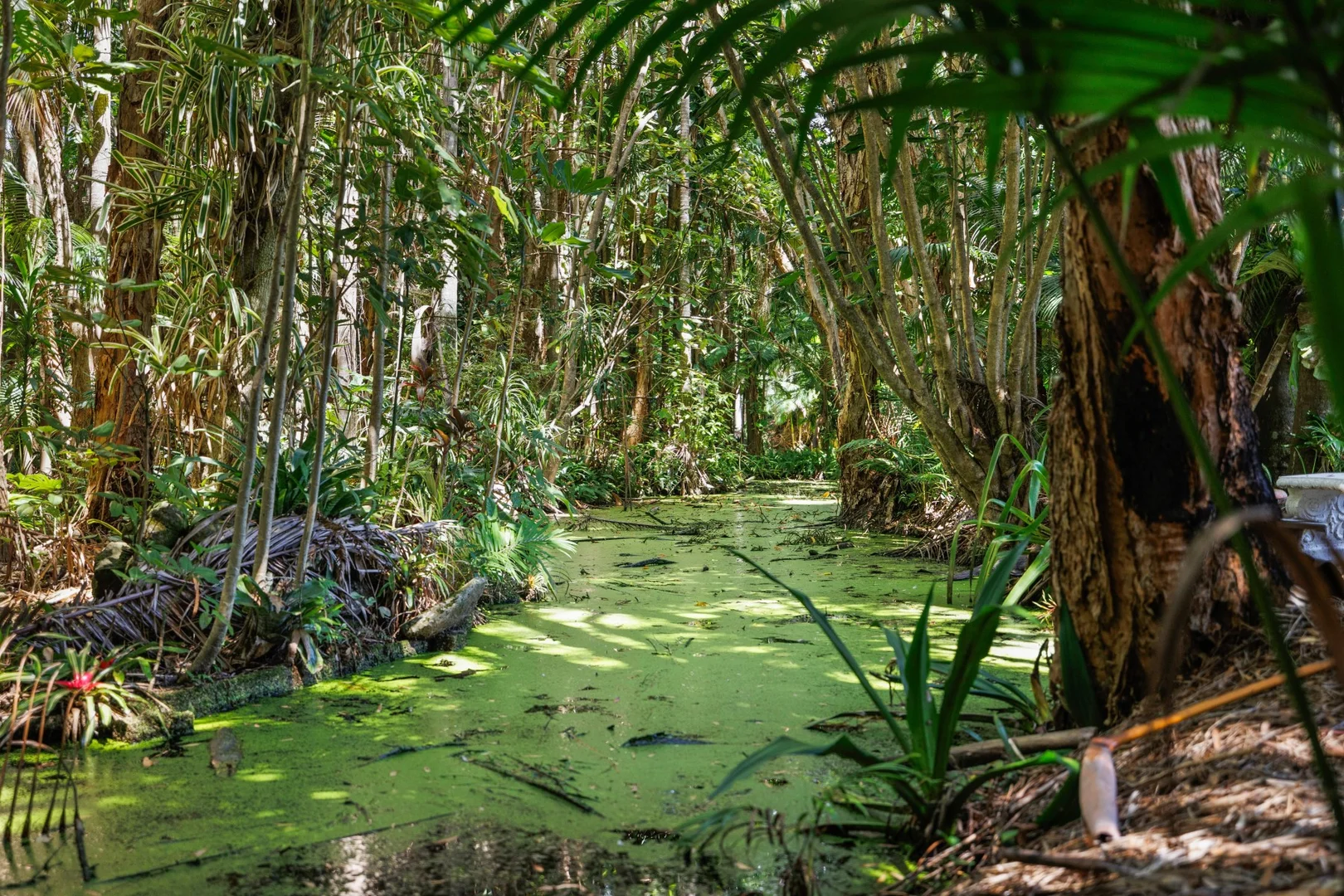 Additional image 19 of 364 Ewingsdale Road, Byron Bay NSW 2481