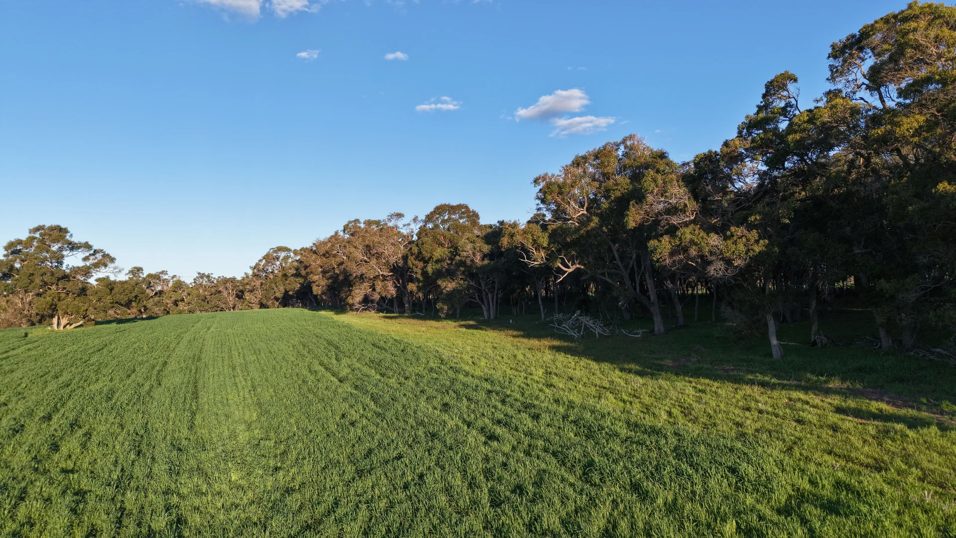 Additional image 12 of 491 Knight Road, Porongurup WA 6324