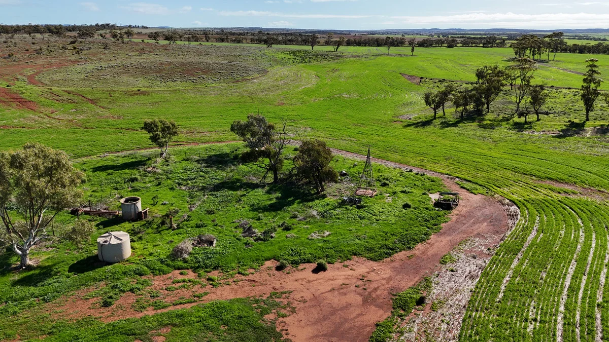 Additional image 6 of 697 Solomon Road, Perenjori WA 6620