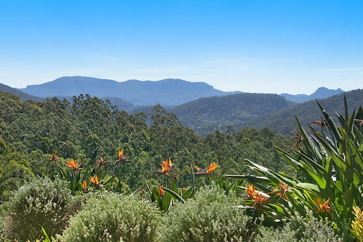 Additional image 25 of 89 Chowan Creek Road, Chowan Creek NSW 2484