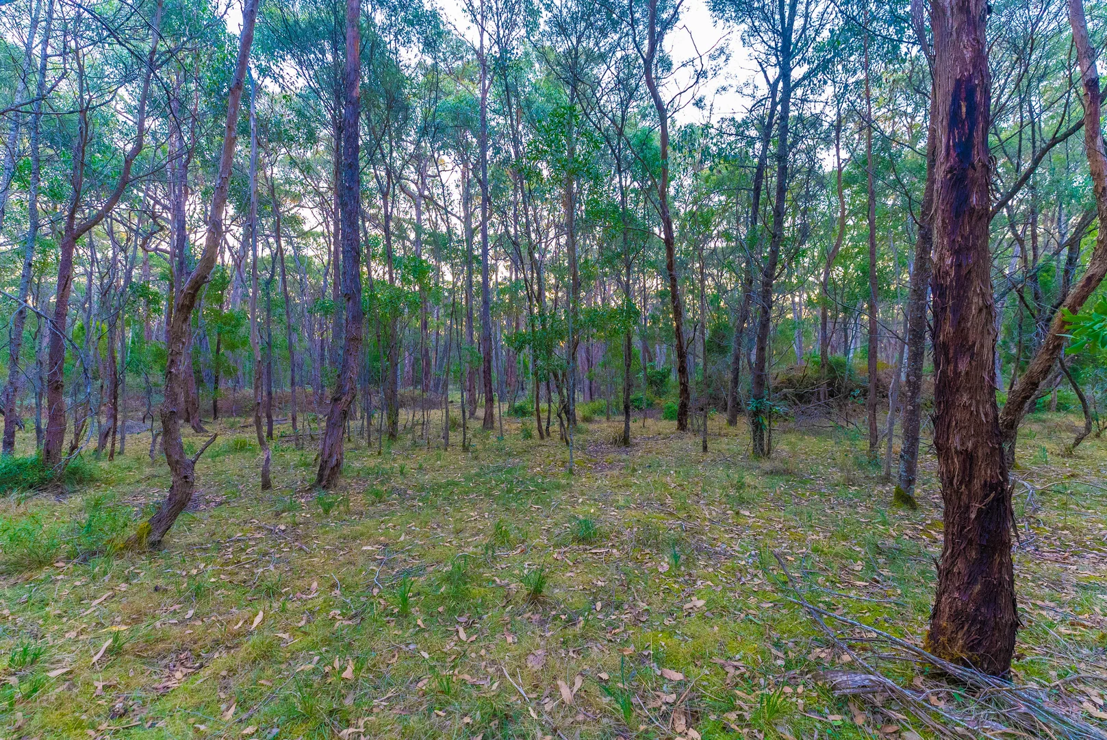 Additional image 6 of Lot 5 Howlett Road, Ross Creek VIC 3351