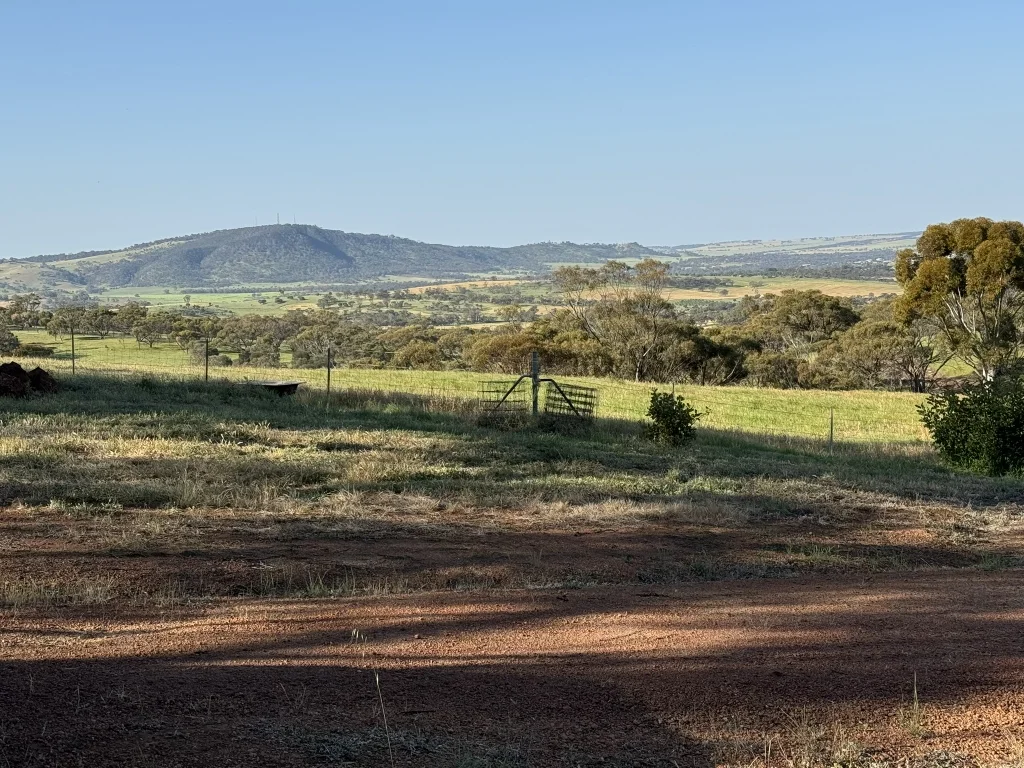 Additional image 58 of 9 Morris Edwards Drive, York WA 6302