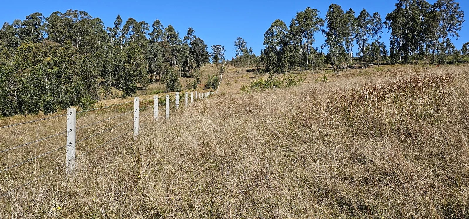 Additional image 15 of 981 Old Dyraaba Road, Lower Dyraaba NSW 2470