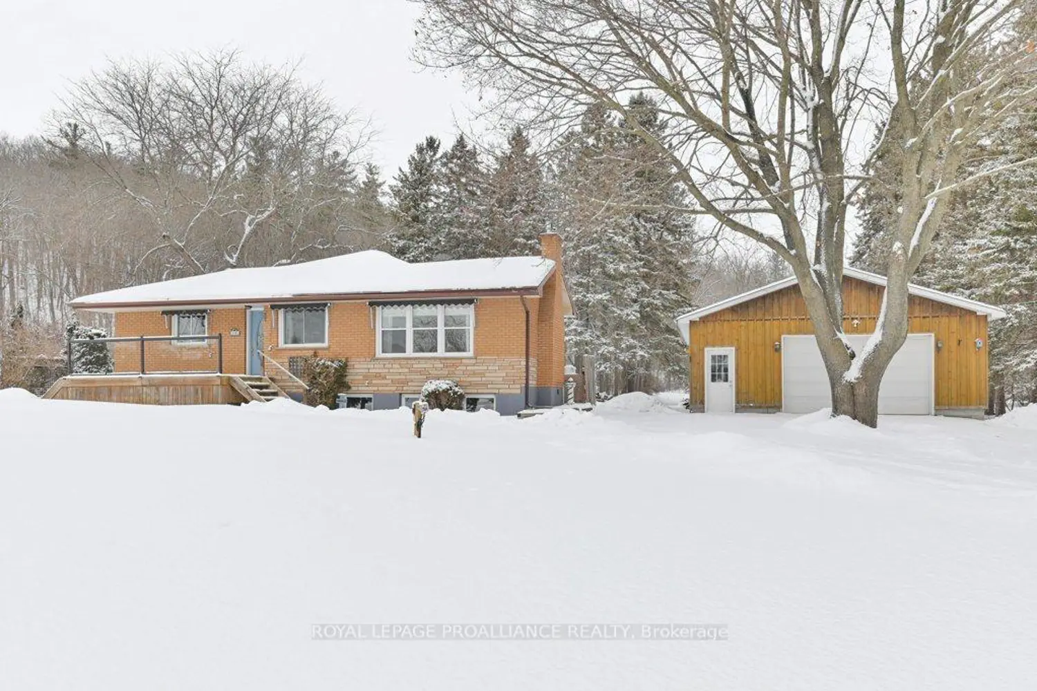 Additional image 2 of 556 Rosebush Road