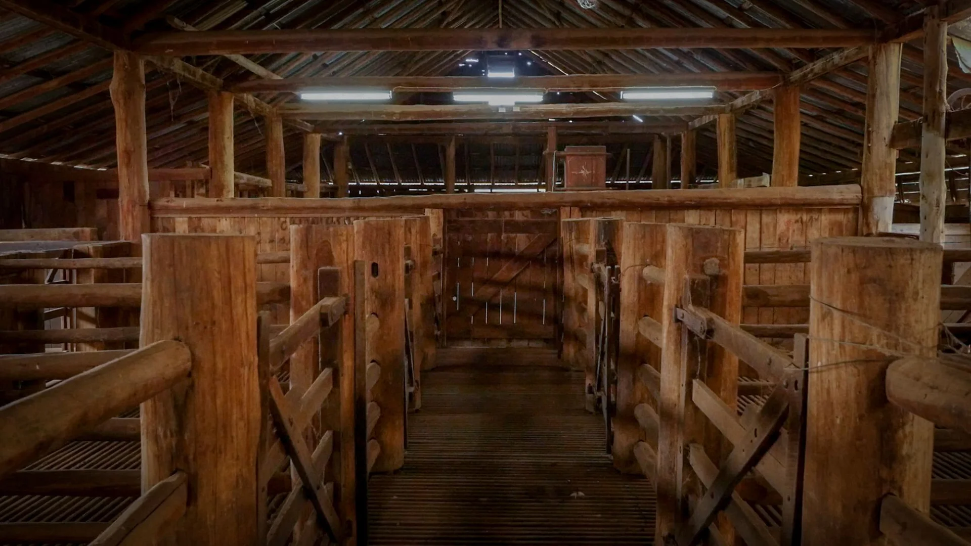 Additional image 9 of 1799 Digilah Road, Dunedoo NSW 2844