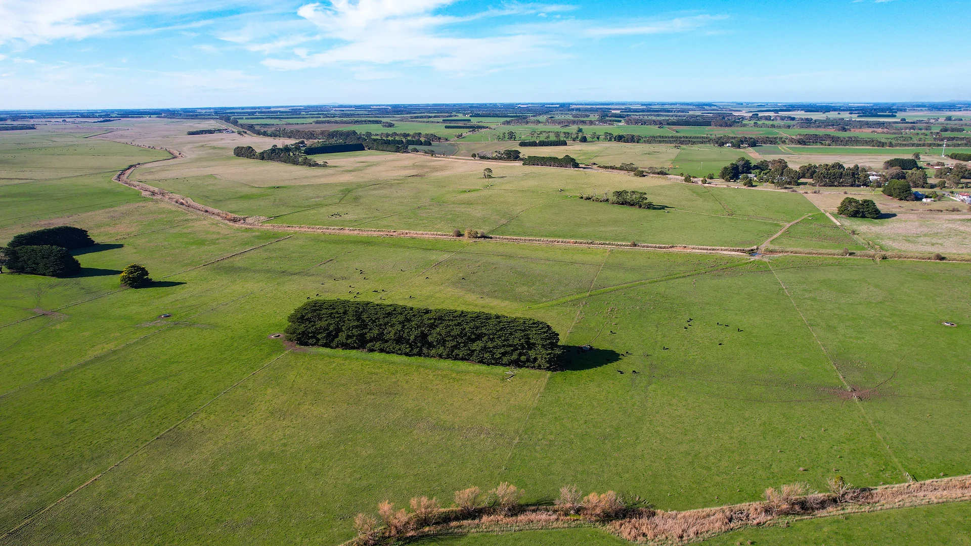 Additional image 23 of Lot 1 Harris Road, Woolsthorpe VIC 3276