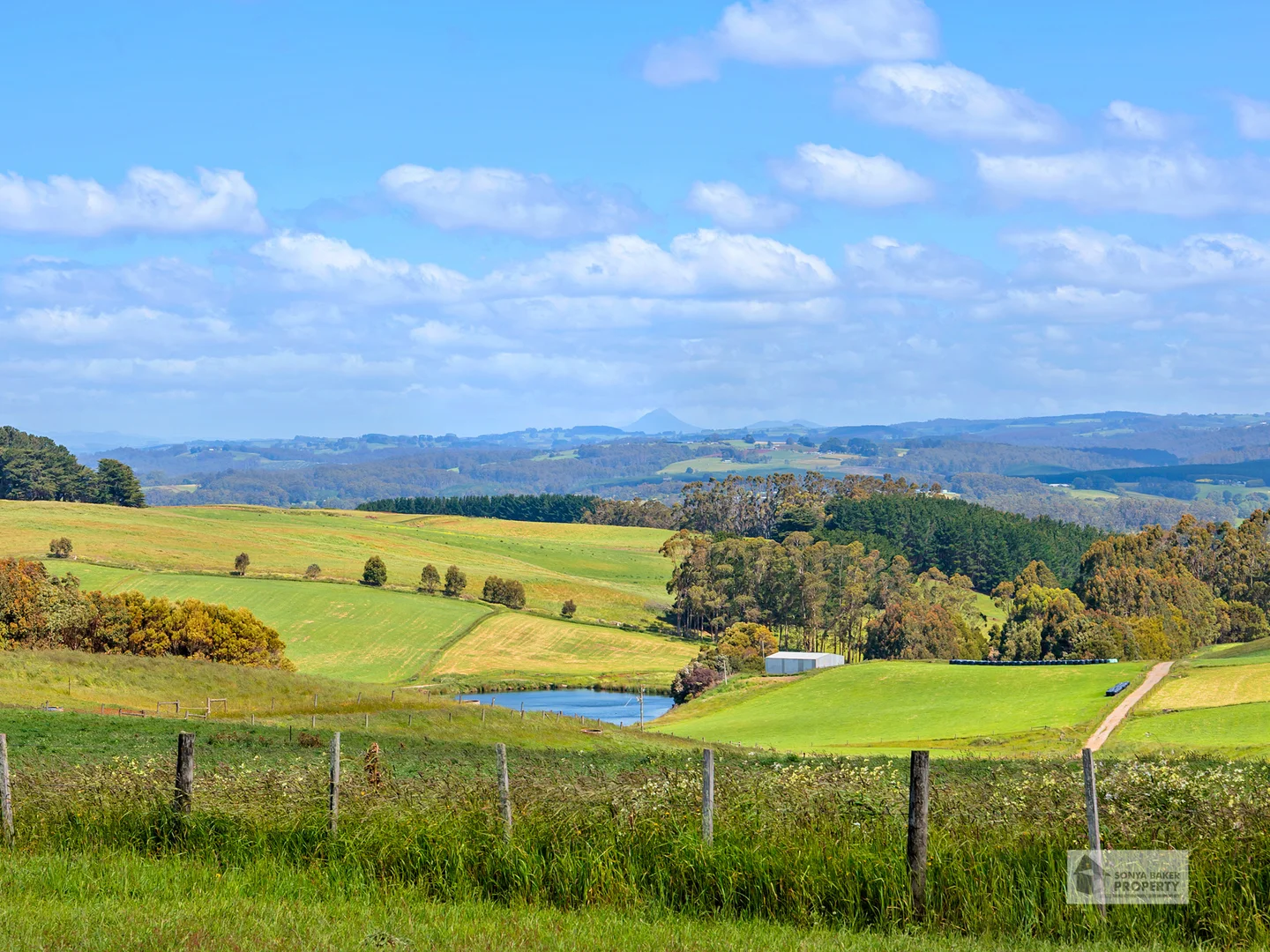 Additional image 39 of 144 Baulds Road, Table Cape TAS 7325