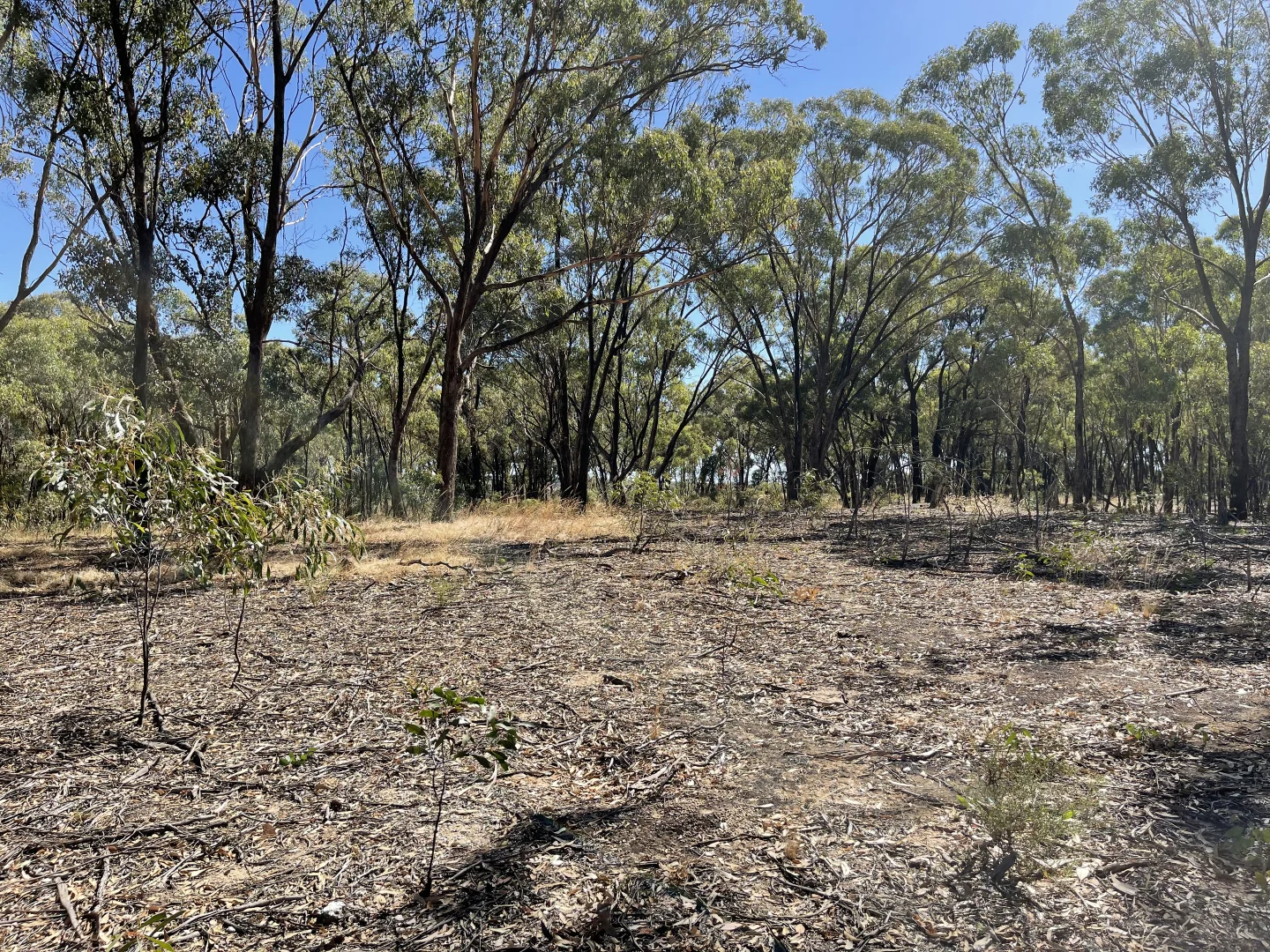 Additional image 6 of 0 Carapooee Road, St Arnaud East VIC 3477