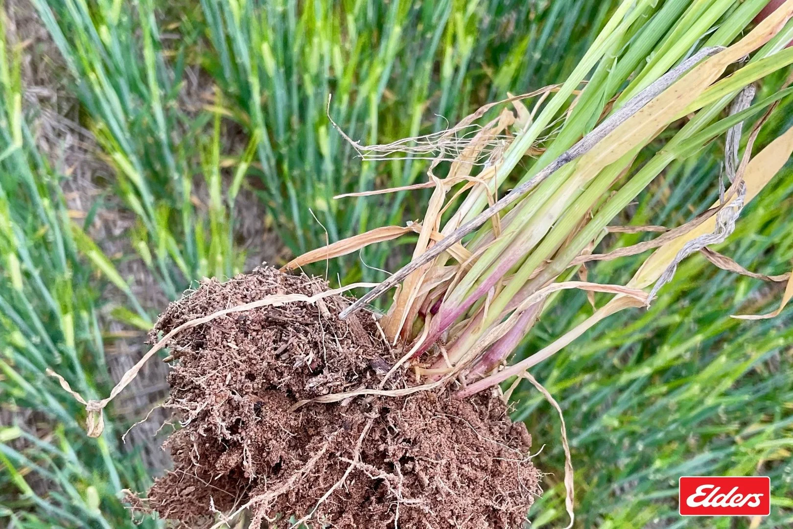 Bridgewater-Maldon Road, Laanecoorie VIC 3463