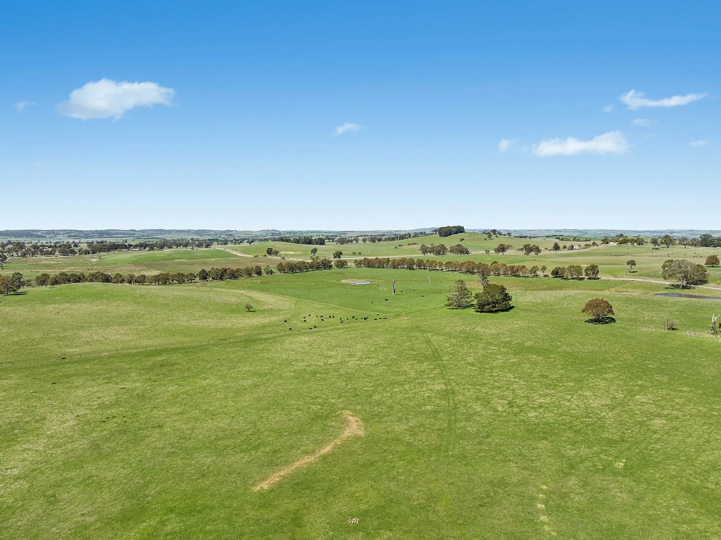 565 Nyes Gate Road, Millthorpe NSW 2798