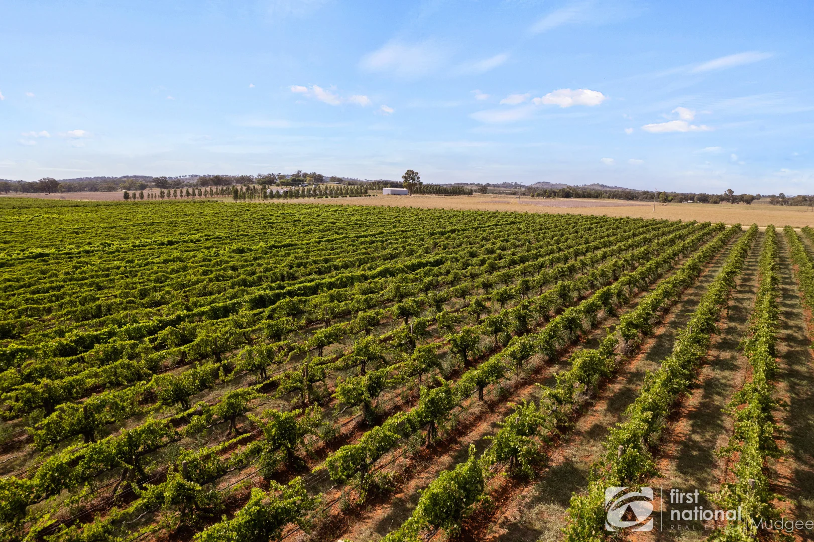 Additional image 10 of 70 Shiraz Drive, Gulgong NSW 2852