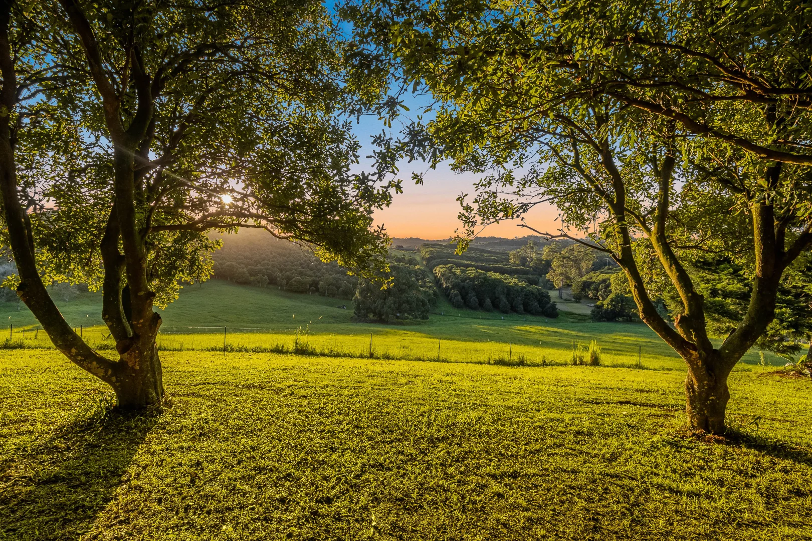 Additional image 11 of 175 Old Byron Bay Road, Newrybar NSW 2479