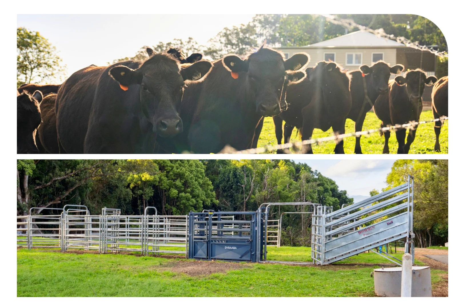 Additional image 44 of 272 Arthur Road, Corndale NSW 2480