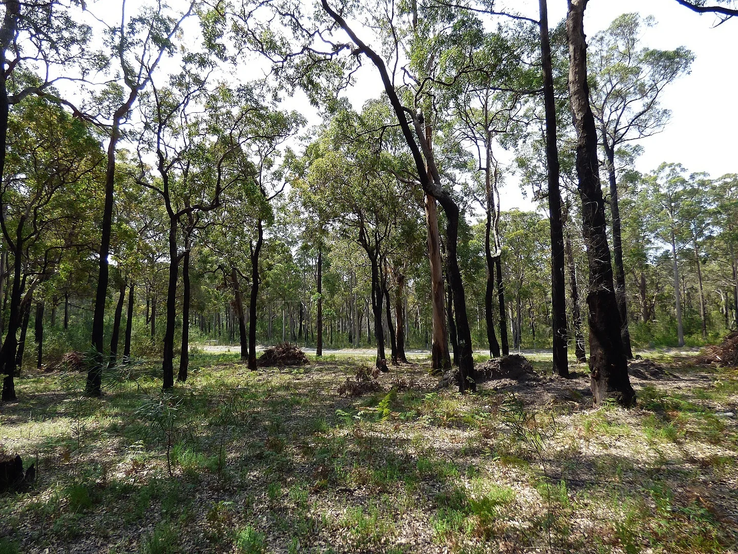 Additional image 11 of 72 Wonboyn Road, WONBOYN Via, Eden NSW 2551