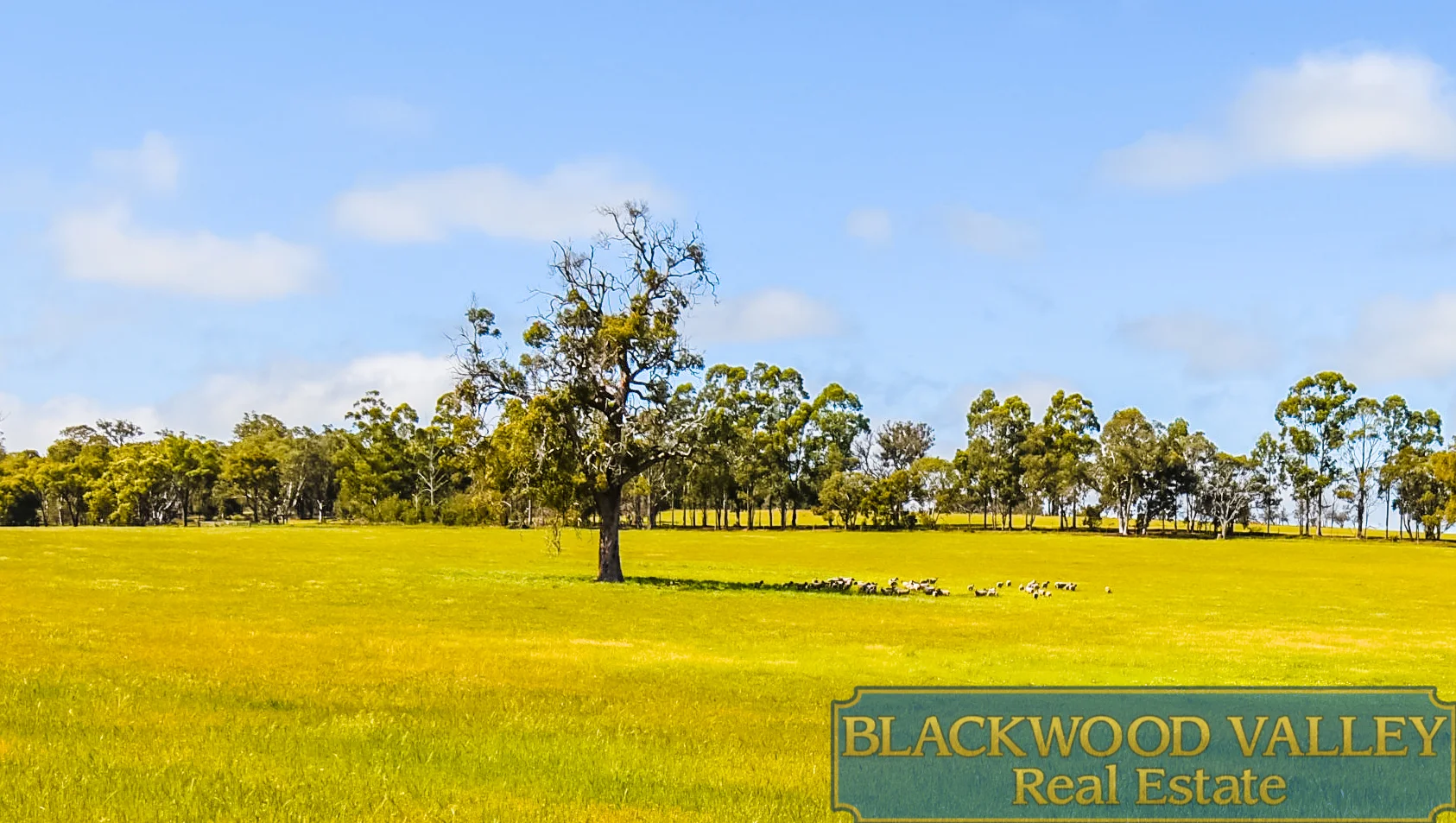 Additional image 14 of 186 Blechynden Road, Dinninup WA 6244