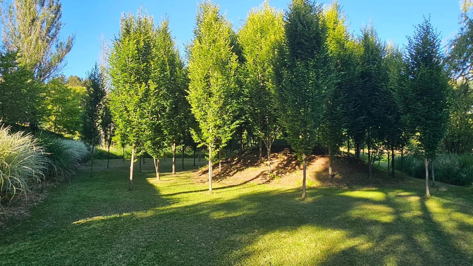 Additional image 18 of Willowvale Mill, Mill Road, Laggan NSW 2583