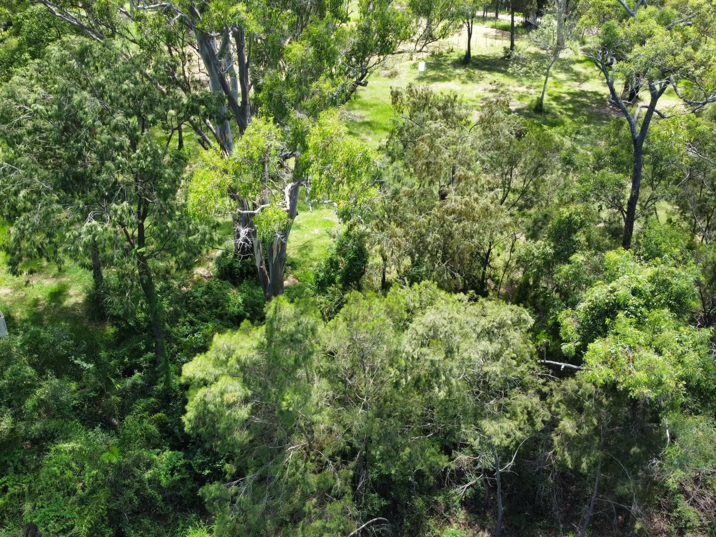 Additional image 10 of 6 Cliff Terrace, Macleay Island QLD 4184