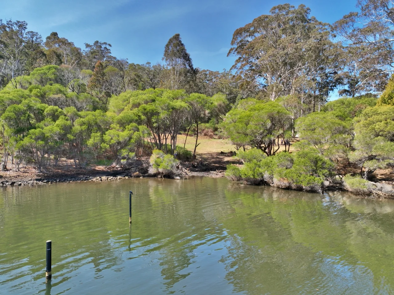 Additional image 4 of 206 Daunceys Road, Wonboyn NSW 2551