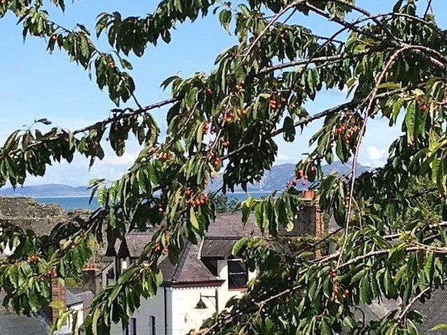 Additional image 4 of 4 bed flat for saleSteeple Lane, Beaumaris, Isle Of Anglesey LL58