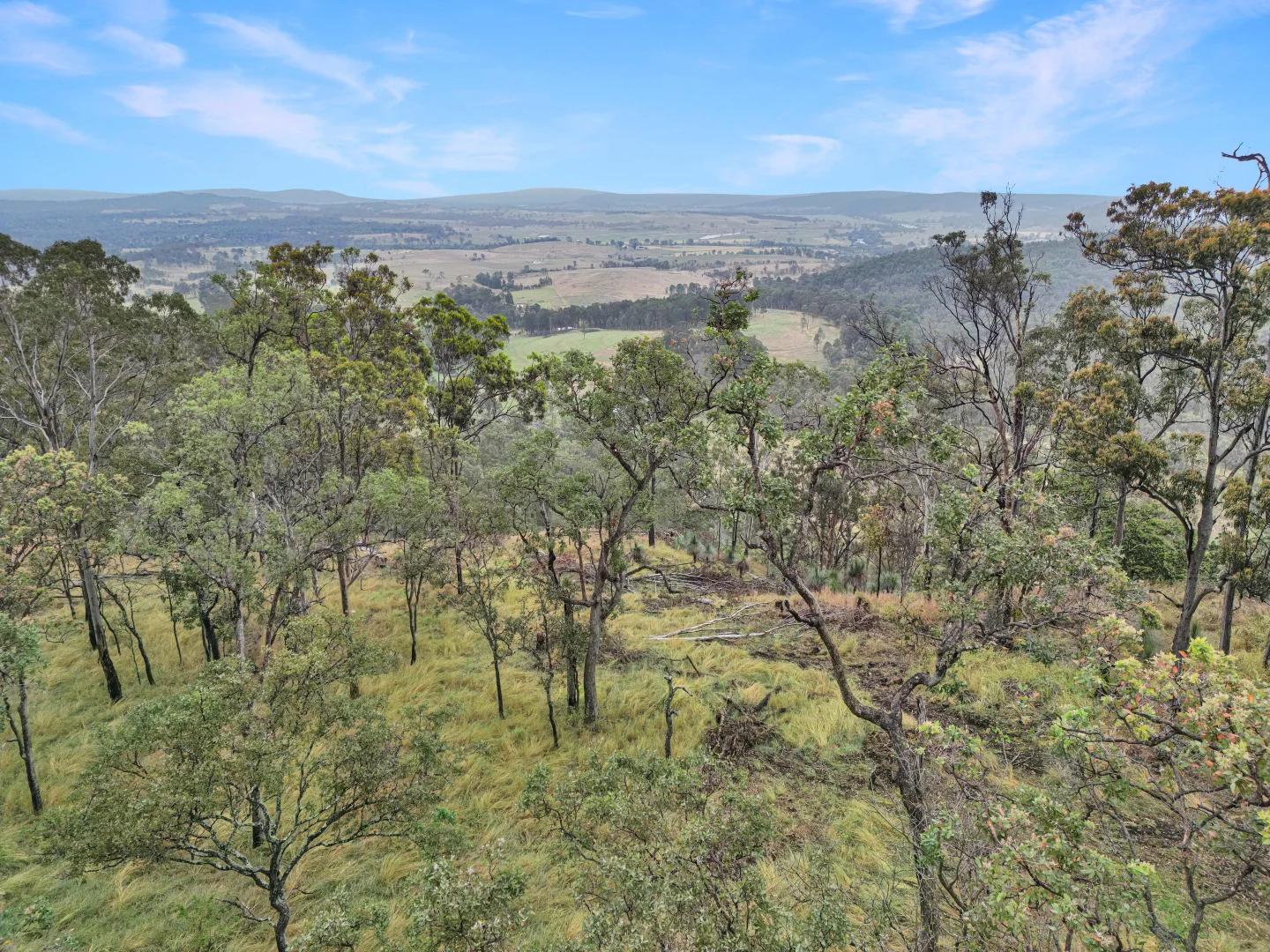 Additional image 6 of 524 Plains Station Road, Tabulam NSW 2469
