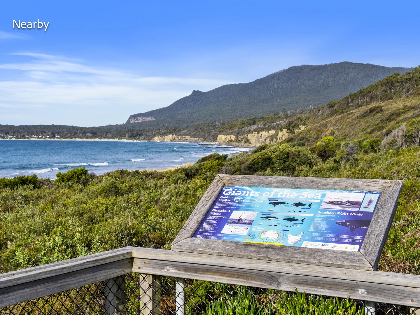 Additional image 41 of 4 Caribbean Court, Eaglehawk Neck TAS 7179