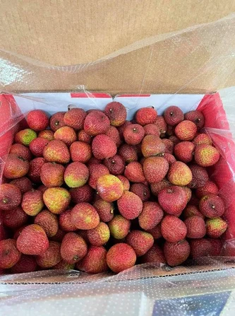 Additional image 33 of 281 Dingo Pocket Rd, Dingo Pocket QLD 4854