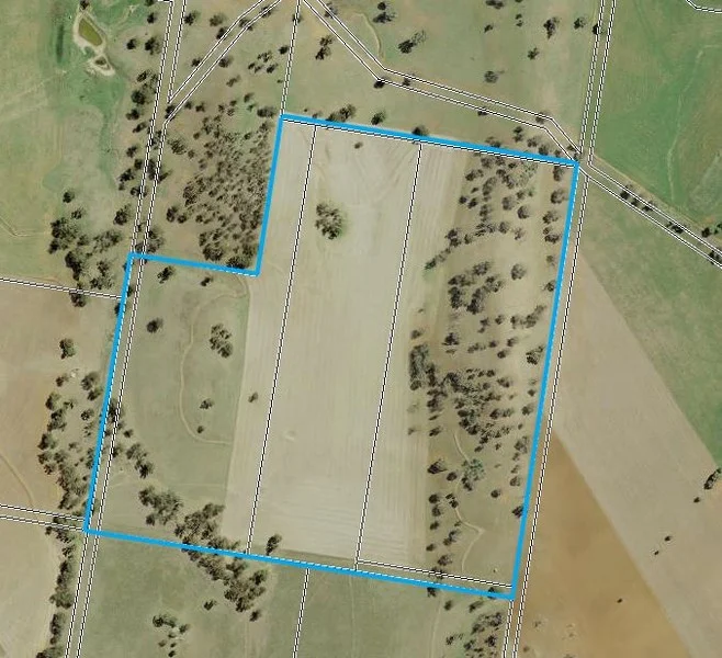 Additional image 20 of 1 Tremains Lane, Toogong NSW 2864