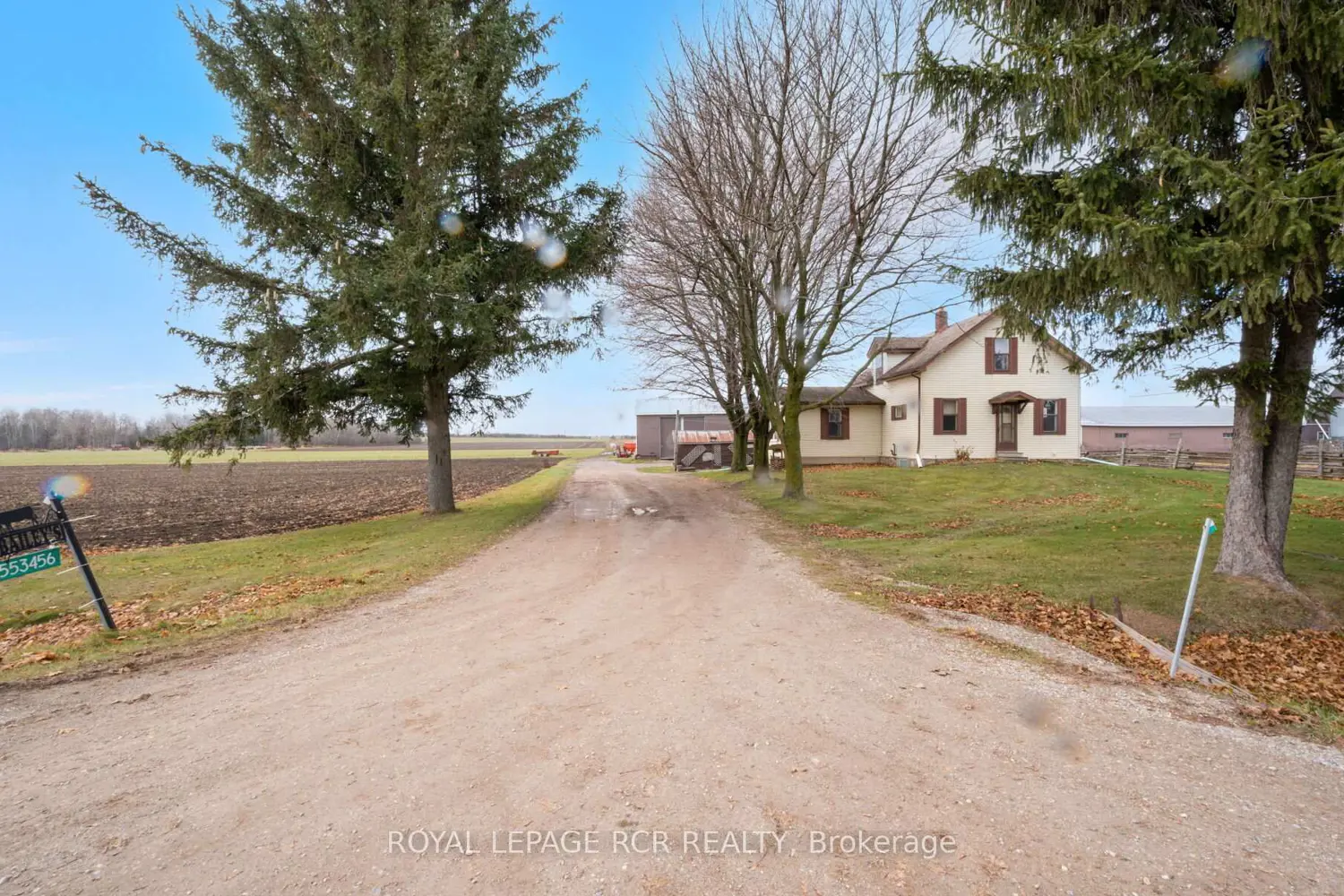 Additional image 5 of 553456 Mono Amaranth Townline