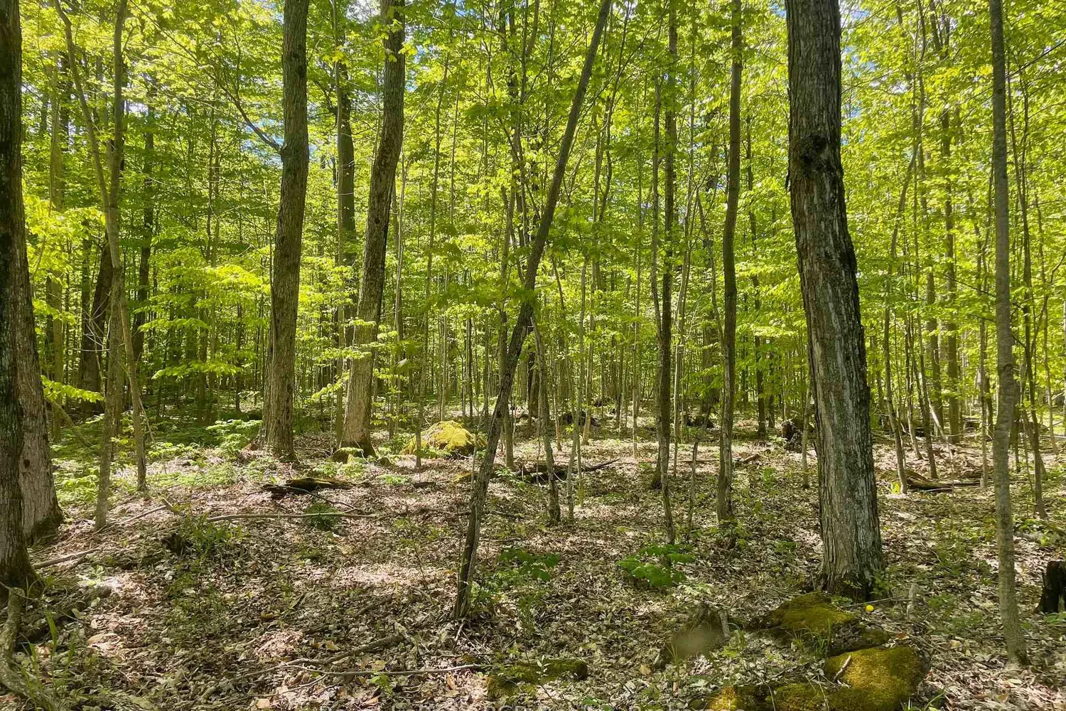 Additional image 12 of N/A Sunny Valley Road