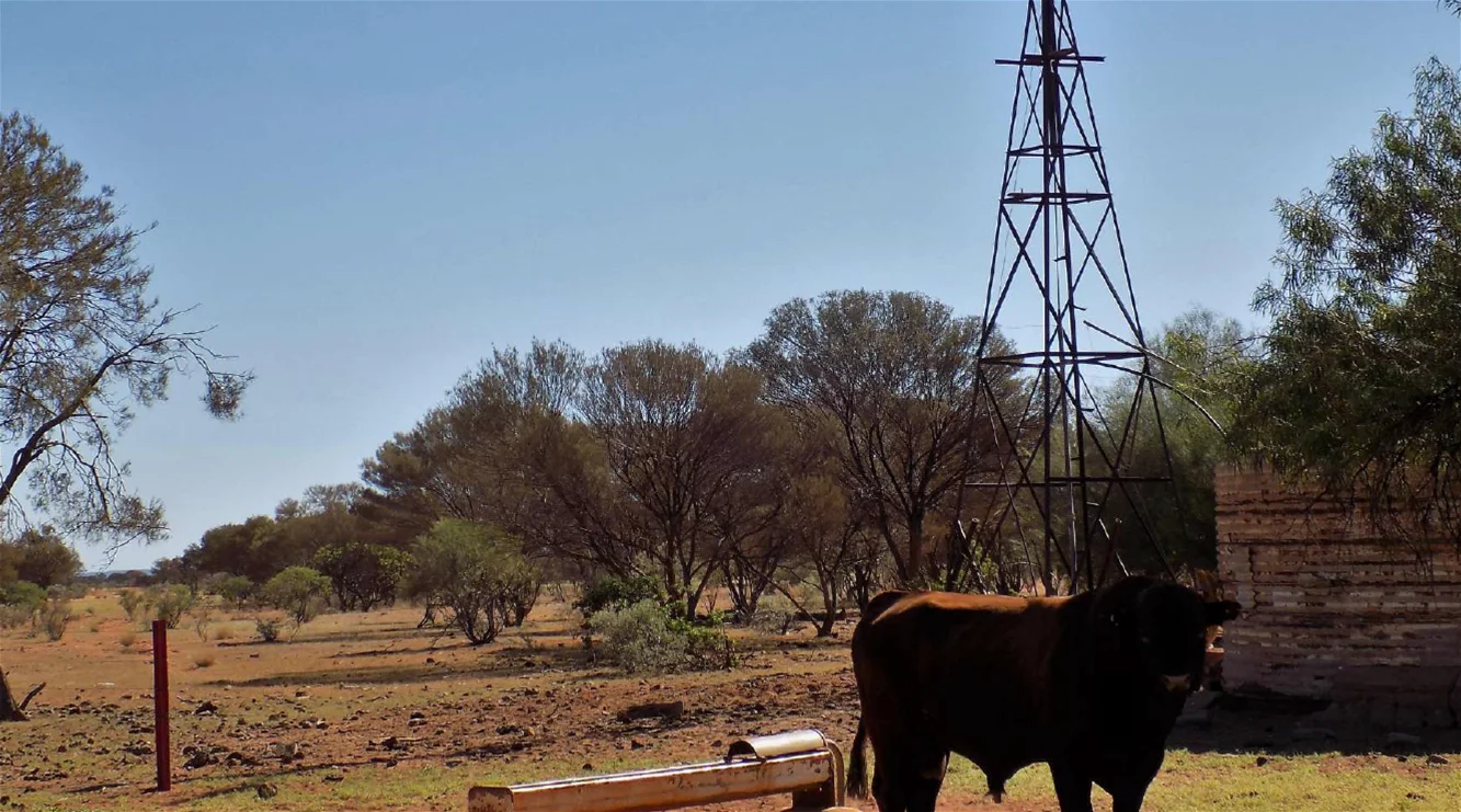Additional image 22 of Yoothapina Station, Meekatharra WA 6642