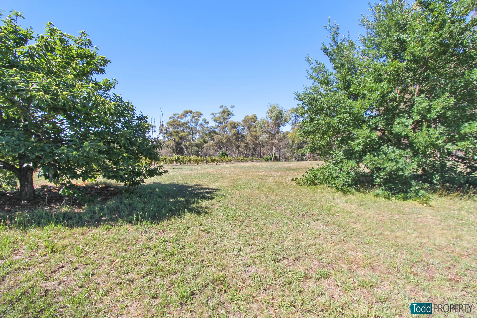 Additional image 5 of 2 Ellis Road, Heathcote VIC 3523