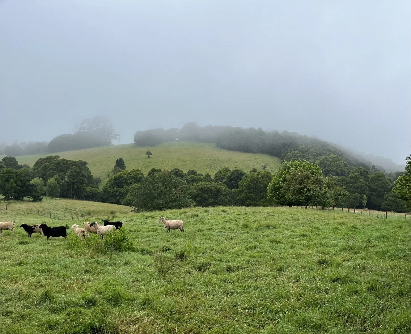 Additional image 7 of 2, 23 Missingham Parade, Robertson NSW 2577