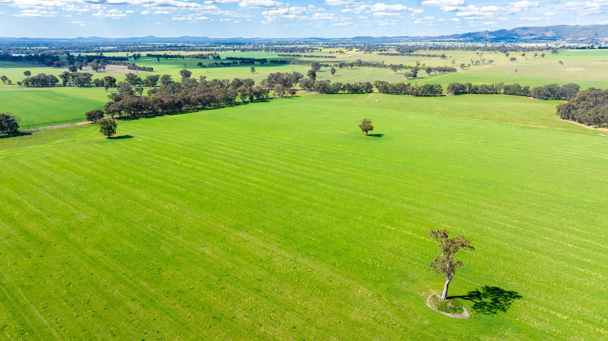 Additional image 4 of 1791 Olympic Highway, Culcairn NSW 2660