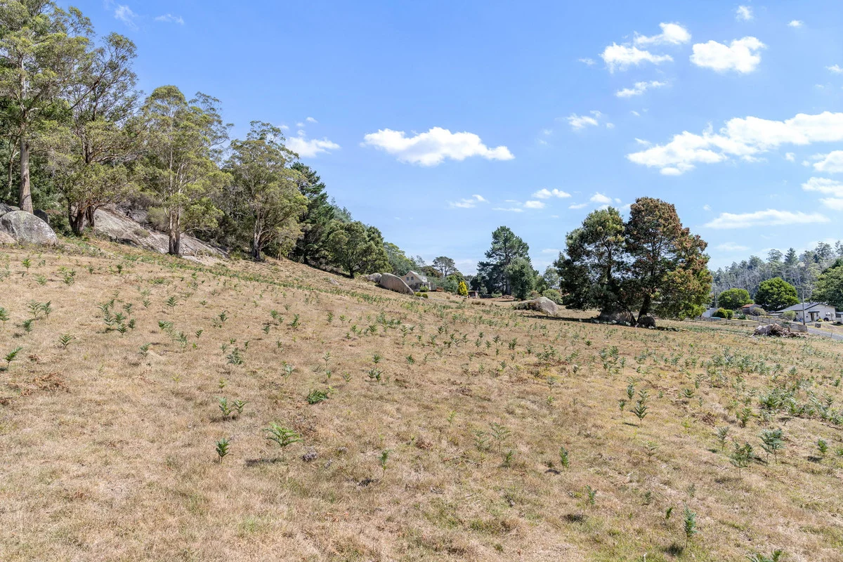 Additional image 4 of 3 Renison Street, Derby TAS 7264