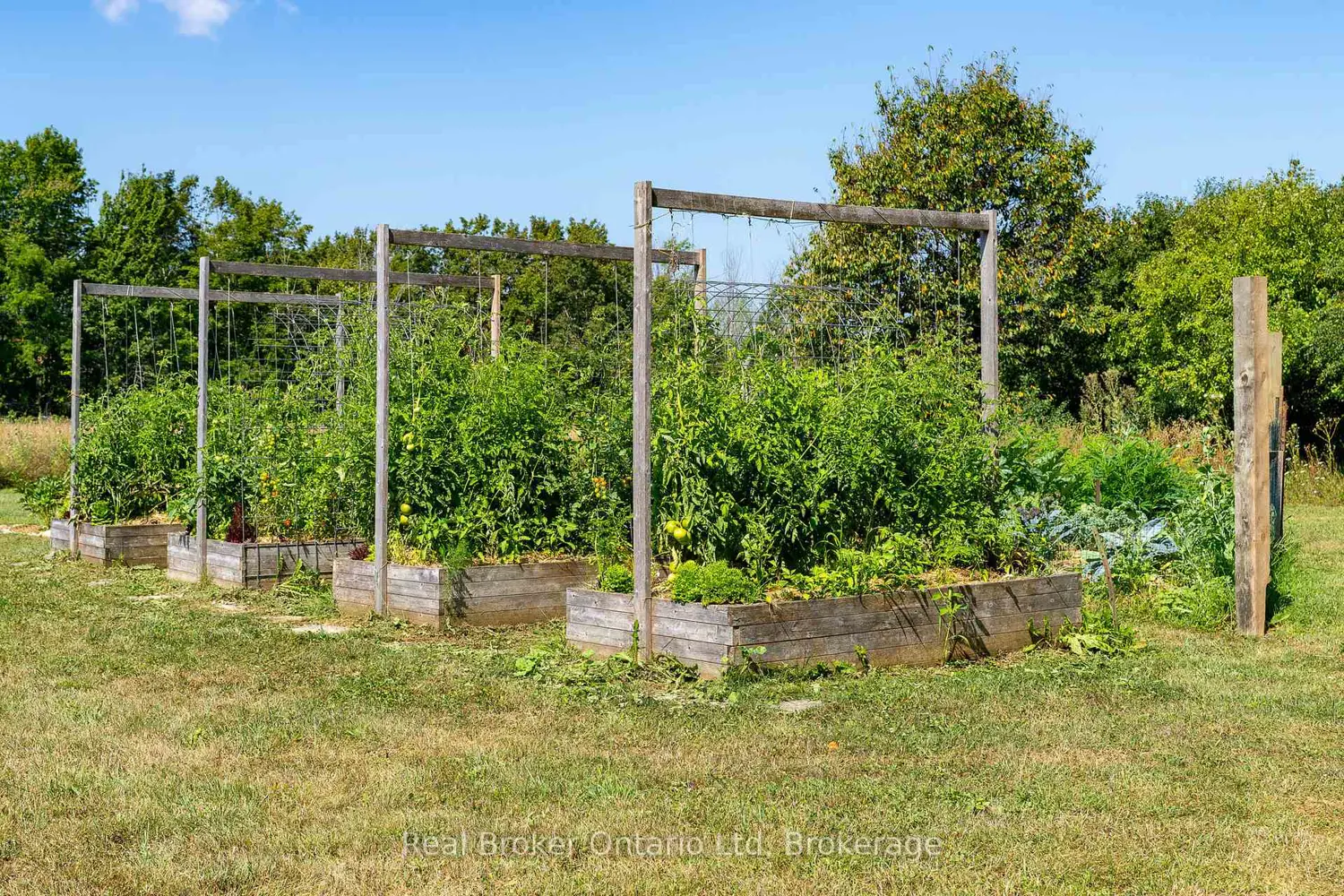 Additional image 11 of 46447 Old Mail Road