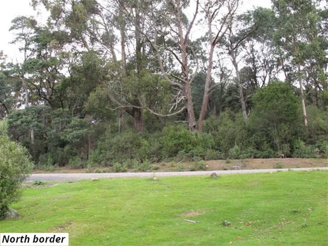 Additional image 3 of 755 Lottah Road, Lottah TAS 7216