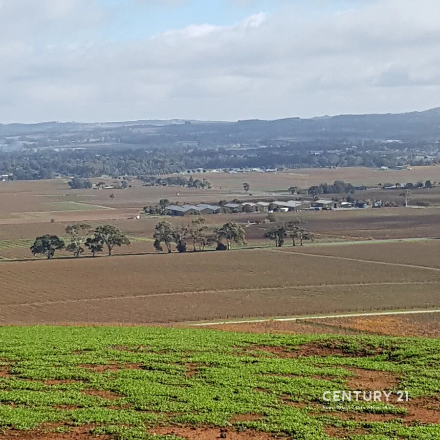 Additional image 3 of Lot 404 Richard Street, Penrice SA 5353