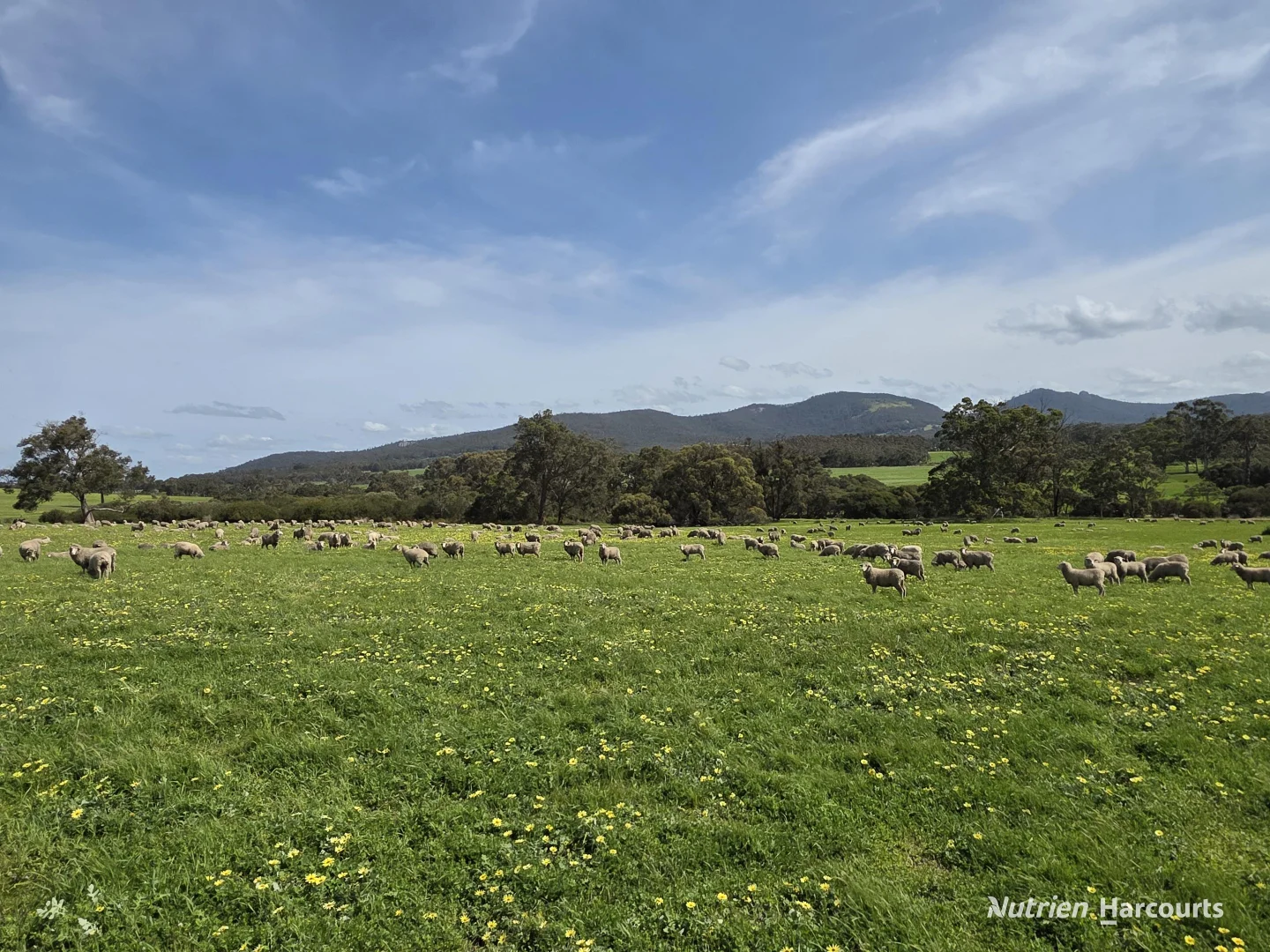 Additional image 37 of 4038 & 4184 Chesterpass Road, Takalarup WA 6324