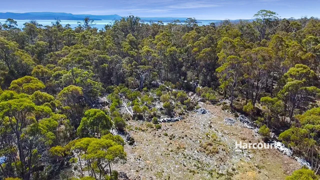 Additional image 2 of 711 Arthurs Lake Road, Arthurs Lake TAS 7030