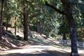 Additional image 6 of 327 Twin Oaks Dr, Friday Harbor, WA, 98250